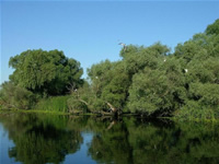 Fotografii Delta Dunarii, foto Delta Dunarii, pictures Danube Delta